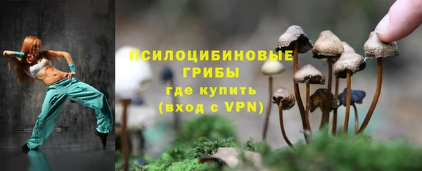 ECSTASY Волосово