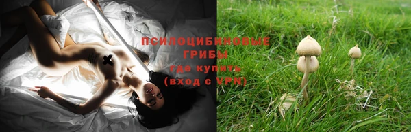 бутират Вяземский